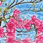 Картина по номерам «Цветущая ветка. Отражение»